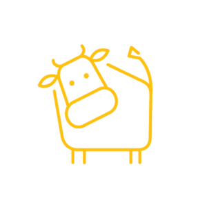 Beef